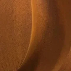 La patine